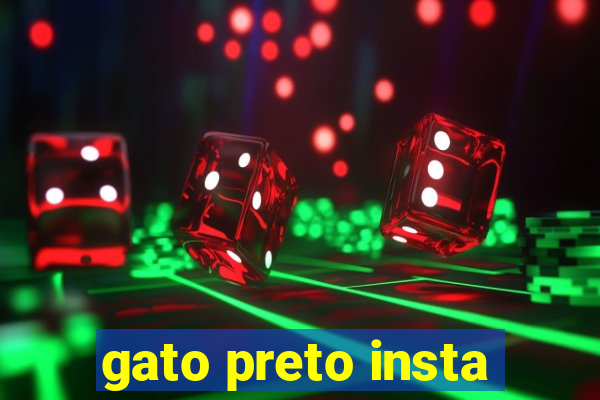 gato preto insta